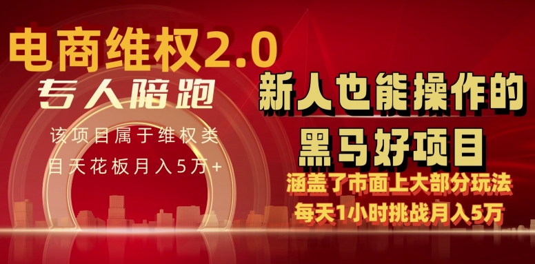 电商维权 4.0 如何做到月入 5 万+每天 1 小时新人也能快速上手【仅揭秘】| 网创圈