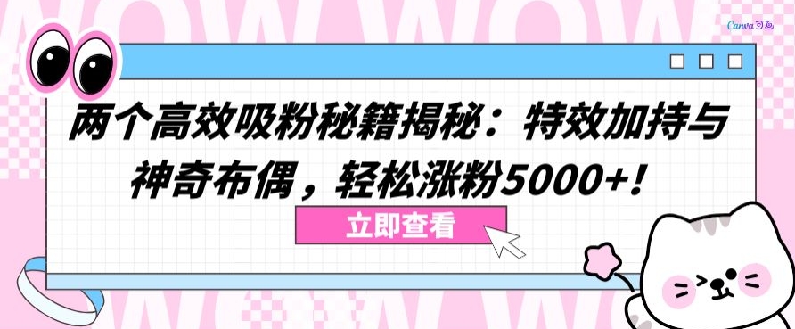 两个高效吸粉秘籍揭秘：特效加持与神奇布偶，轻松涨粉5000+| 网创圈