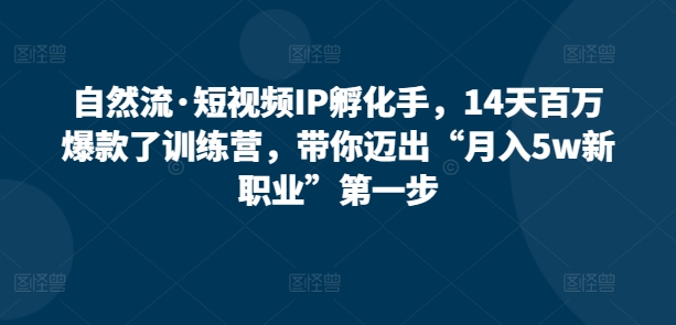 自然流·短视频IP孵化手，14天百万爆款了训练营，带你迈出“月入5w新职业”第一步| 网创圈