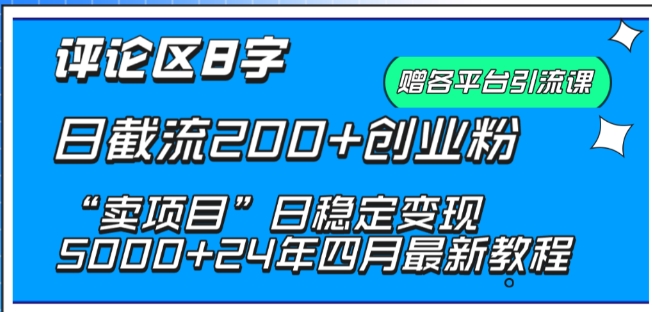 抖音评论区8字日截流200+创业粉 “卖项目”日稳定变现5000+| 网创圈