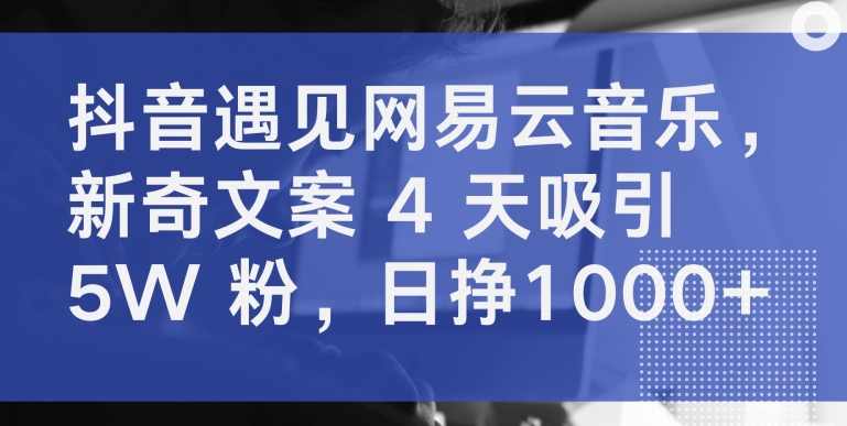 抖音遇见网易云音乐，新奇文案 4 天吸引 5W 粉，日挣1000+| 网创圈