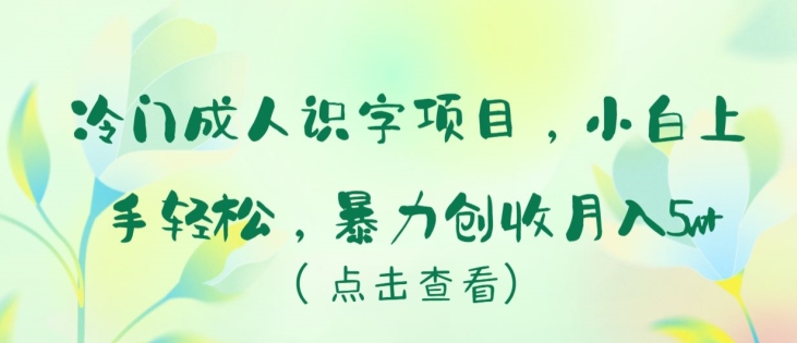 冷门成人识字项目，小白上手轻松，暴力创收月入5w+| 网创圈