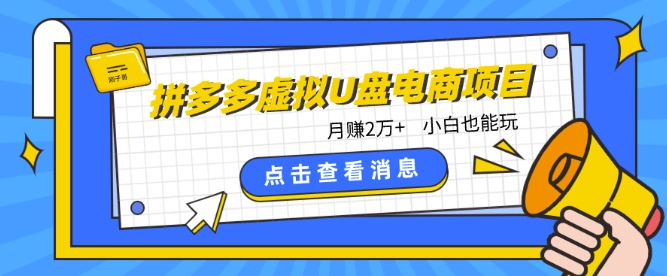 拼多多虚拟U盘电商红利项目：月赚2万+，新手小白也能玩| 网创圈