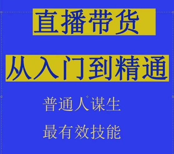2024抖音直播带货直播间拆解抖运营从入门到精通，普通人谋生最有效技能| 副业网