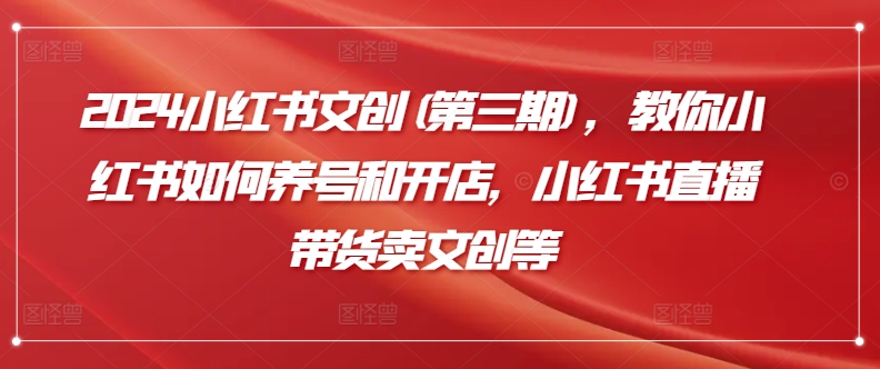 2024小红书文创(第三期)，教你小红书如何养号和开店，小红书直播带货卖文创等| 网创圈