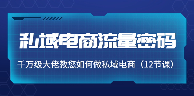 私域电商流量密码：千万级大佬教您如何做私域电商（12节课）| 网创圈