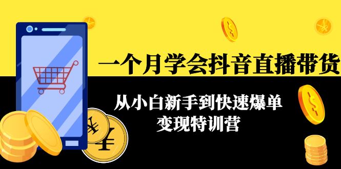 一个月学会抖音直播带货：从小白新手到快速爆单变现特训营(63节课)| 网创圈