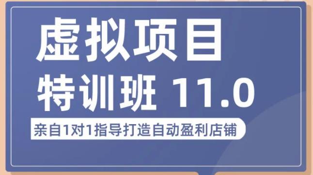 陆明明·虚拟项目特训班（10.0+11.0），0成本获取虚拟素材，0基础打造自动盈利店铺| 网创圈