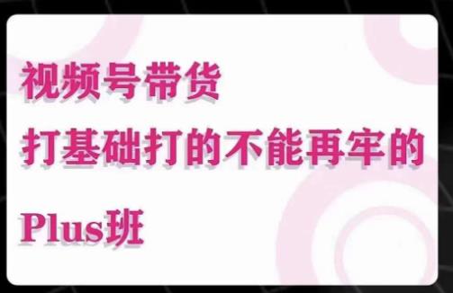 大播汇·视频号带货Puls班，视频号底层逻辑，起号自然流鱼塘等玩法| 网创圈