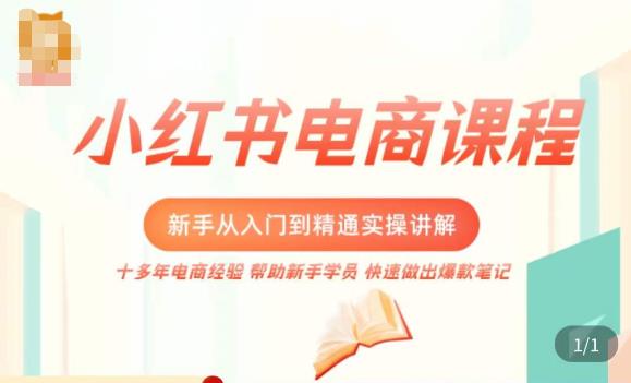 小红书电商新手入门到精通实操课，从入门到精通做爆款笔记，开店运营| 副业网