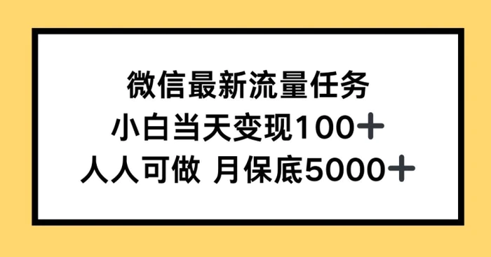 微信最新流量任务，小白当天变现100+，人人可做| 副业网