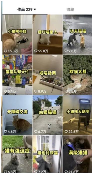 图片[3]| 拆解抖音盘点类中视频变现副业项目，视频版一条龙大解析分享给你【视频课程】| 网创圈