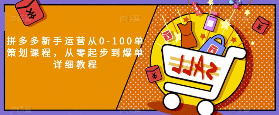 拼多多新手运营从0-100单策划课程，从零起步到爆单详细教程| 网创圈