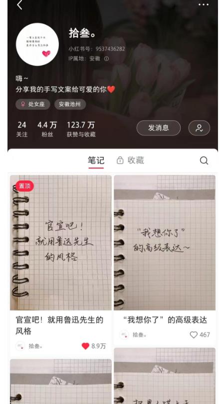 图片[2]| AI批量制造小红书爆款笔记+小红书无货源，玩法一条龙实操，小白也能轻松日入500+【揭秘】| 网创圈