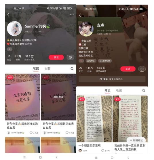 图片[3]| AI批量制造小红书爆款笔记+小红书无货源，玩法一条龙实操，小白也能轻松日入500+【揭秘】| 网创圈