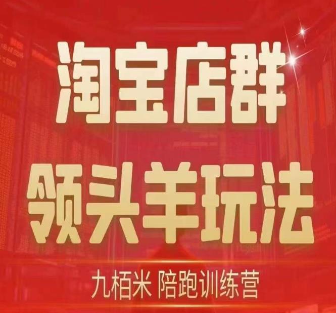 九栢米-淘宝店群领头羊玩法，教你整个淘宝店群领头羊玩法以及精细化/终极蓝海/尾销等内容| 网创圈