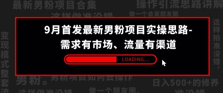 9月首发最新男粉项目实操思路-需求有市场，流量有渠道【揭秘】| 网创圈