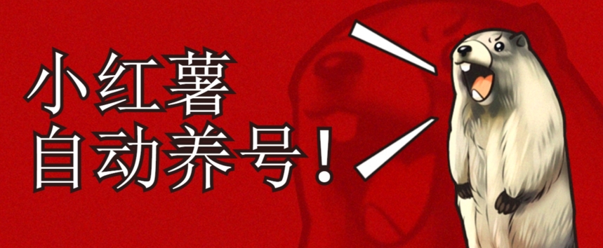 小红书养号秘籍，如何自动涨粉清晰系统标签打造高权重账号【揭秘】| 网创圈