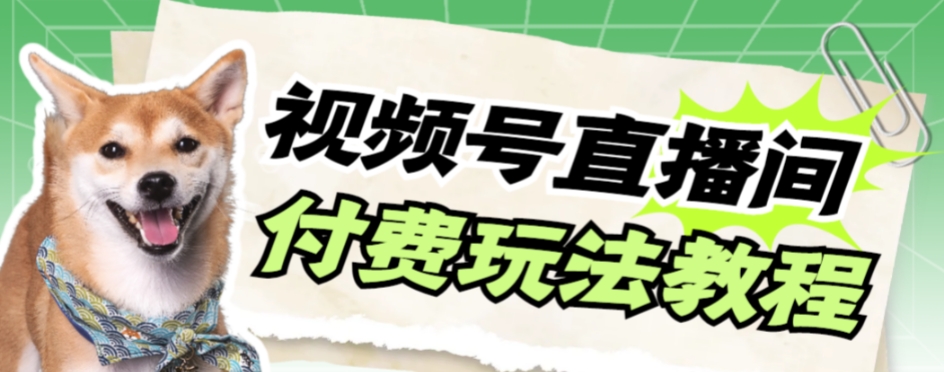 视频号美女付费无人直播，轻松日入500+【详细玩法教程】| 网创圈