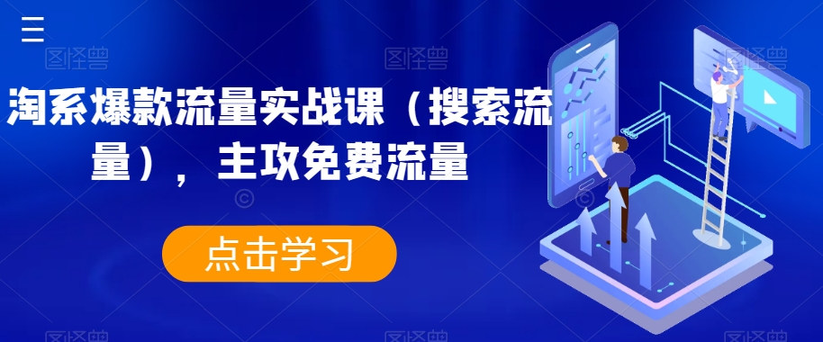 淘系爆款流量实战课（搜索流量），主攻免费流量| 网创圈