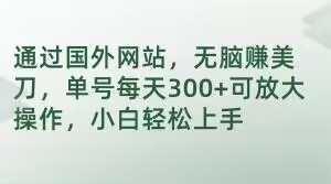 通过国外网站，无脑赚美刀，单号每天300+可放大操作，小白轻松上手【揭秘】| 网创圈