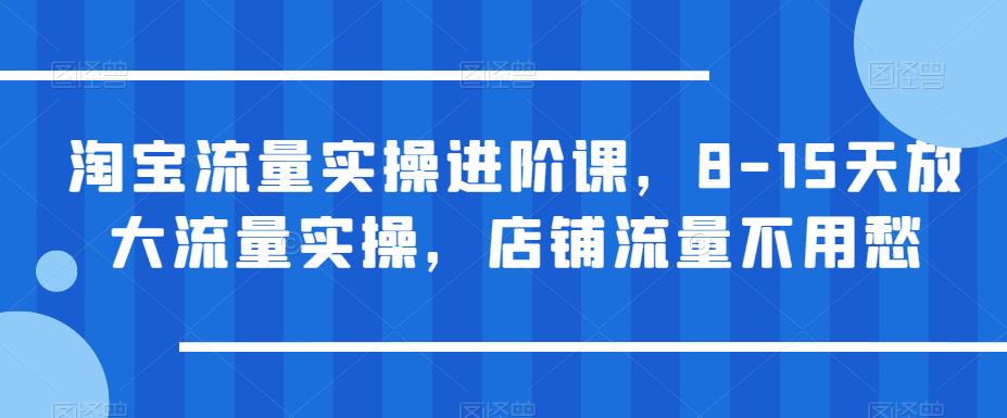 淘宝流量实操进阶课，8-15天放大流量实操，店铺流量不用愁| 网创圈
