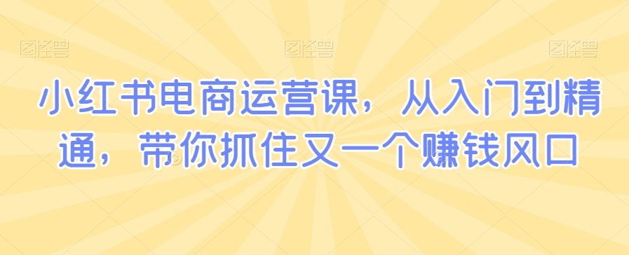 小红书电商运营课，从入门到精通，带你抓住又一个赚钱风口| 网创圈