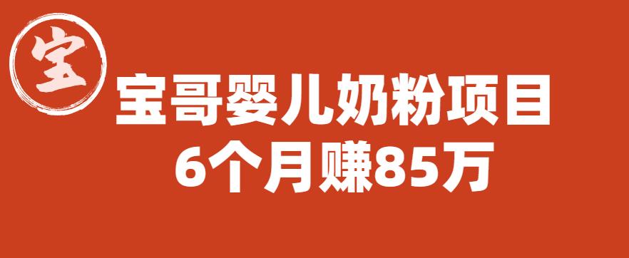 宝哥婴儿奶粉项目，6个月赚85w【图文非视频】【揭秘】| 网创圈