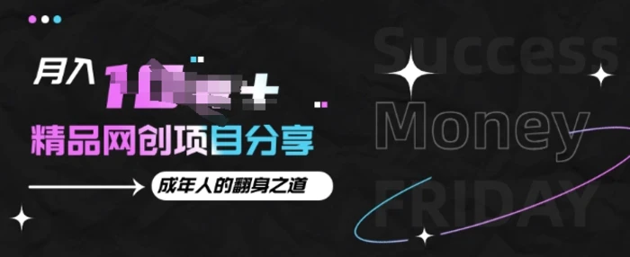 月入十个的网创项目分享，成年人的最快翻身之道| 网创圈