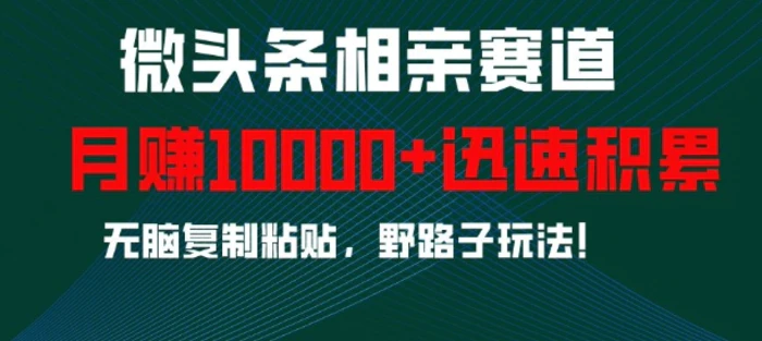 微头条相亲赛道，迅速积累，无脑复制粘贴，野路子玩法，月入1w| 网创圈