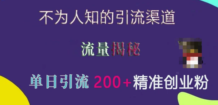 不为人知的引流渠道，流量揭秘，实测单日引流200+精准创业粉| 网创圈