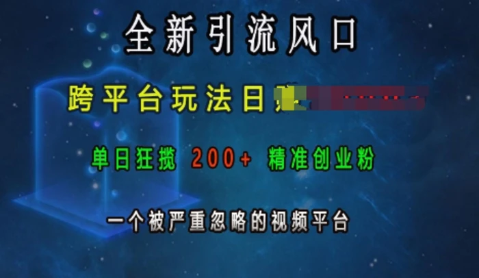 全新引流风口，跨平台玩法日入上k，单日狂揽200+精准创业粉，一个被严重忽略的视频平台| 网创圈