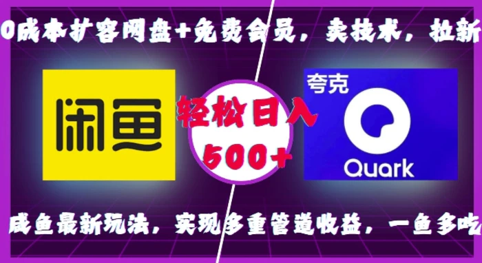 0成本扩容网盘+免费会员，卖技术，拉新，咸鱼最新玩法，实现多重管道收益，一鱼多吃，轻松日入500+| 网创圈