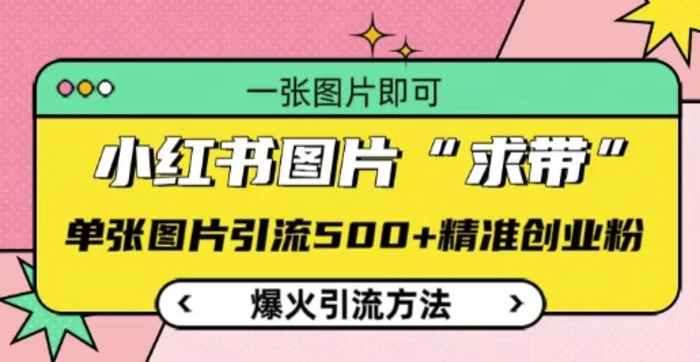 小红书图片‘求带’爆火引流法，单张图片引流500+精准创业粉【揭秘】| 网创圈