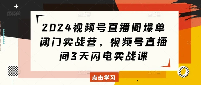 2024视频号直播间爆单闭门实战营，视频号直播间3天闪电实战课| 网创圈