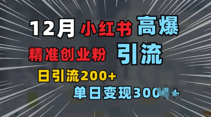 小红书一张图片“引爆”创业粉，单日+200+精准创业粉 可筛选付费意识创业粉| 网创圈