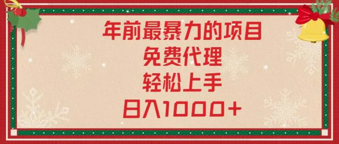 （13773期）年前最暴力的项目，免费代理，轻松上手，日入1000+| 副业网