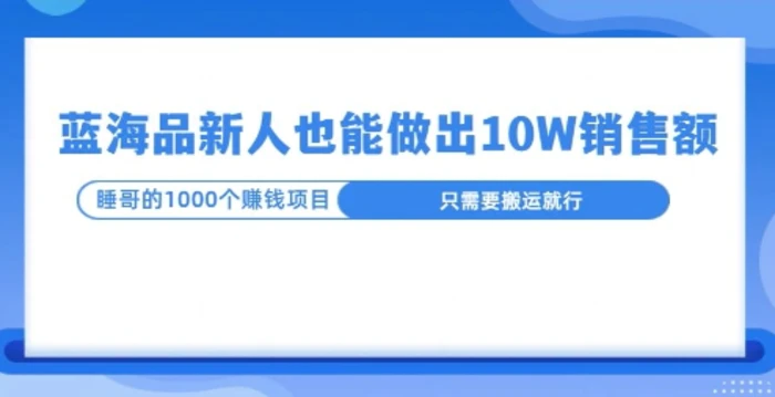 这个蓝海品，新号也能卖出10W的销售额，年底疯狂怼量就能出结果| 网创圈