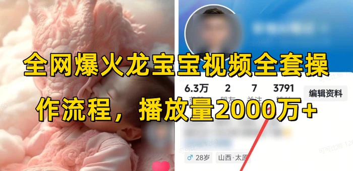 全网爆火龙宝宝视频全套操作流程，播放量2000万+| 网创圈