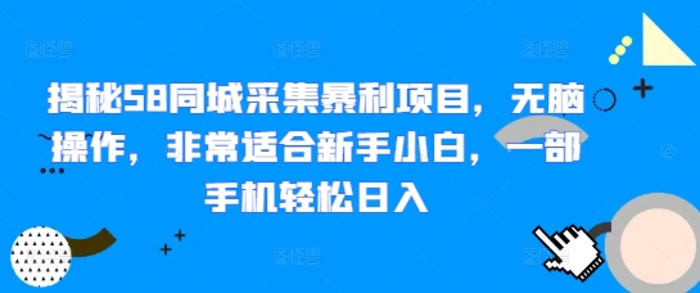 揭秘58同城采集暴利项目，无脑操作，非常适合新手小白，一部手机轻松日入| 网创圈