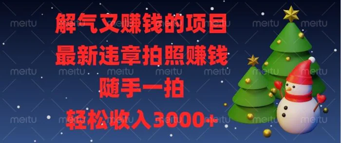 （13804期）解气又赚钱的项目，最新违章拍照赚钱，随手一拍，轻松收入3000+| 网创圈