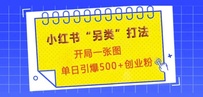 小红书“另类”打法，开局一张图，单日引爆500+精准创业粉【揭秘】| 网创圈
