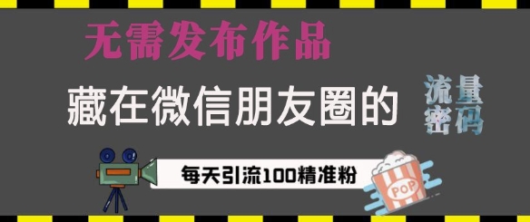藏在微信朋友圈的流量密码，无需发布作品，单日引流100+精准创业粉| 网创圈
