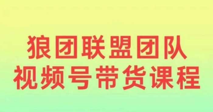 狼团联盟2024视频号带货，0基础小白快速入局视频号| 网创圈