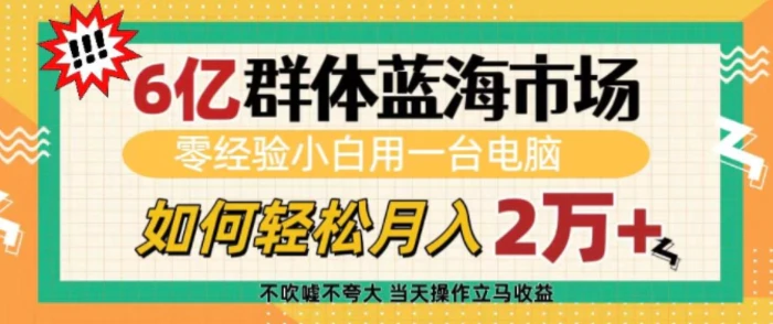 6亿群体蓝海市场，零经验小白用一台电脑，如何轻松月入过w| 网创圈