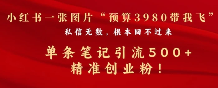 小红书一张图暴力引流500+精准创业粉| 网创圈