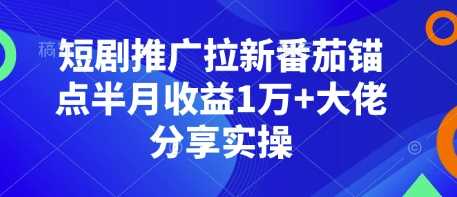 短剧推广拉新番茄锚点半月收益1万+大佬分享实操| 网创圈