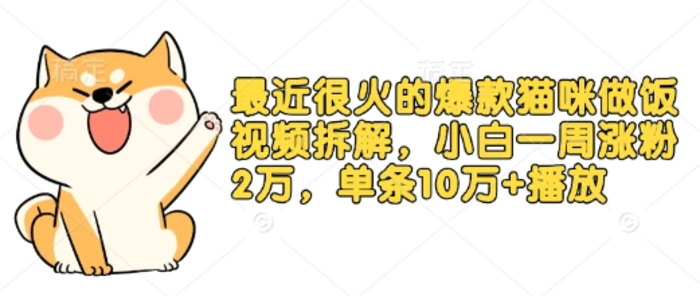最近很火的爆款猫咪做饭视频拆解，小白一周涨粉2万，单条10万+播放(附保姆级教程)| 网创圈