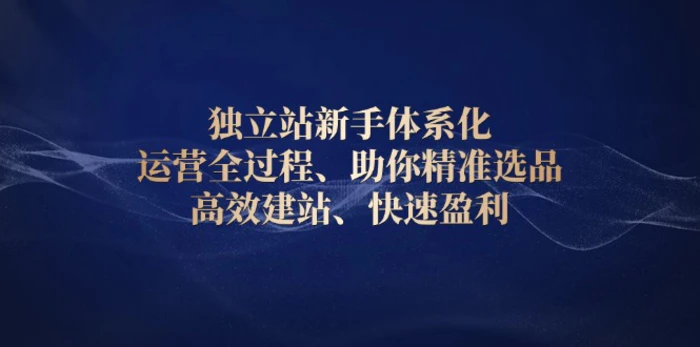（13914期）独立站新手体系化 运营全过程，助你精准选品、高效建站、快速盈利| 网创圈