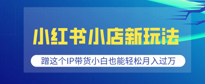 小红书小店新玩法，蹭这个IP带货，小白也能轻松月入过W【揭秘】| 网创圈